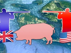 Cuộc chiến con lợn